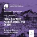 Штаны и брюки русской поэзии