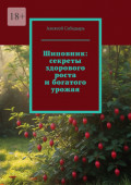 Шиповник: секреты здорового роста и богатого урожая