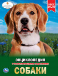 Собаки