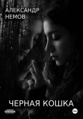Черная кошка
