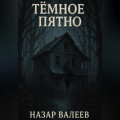 Тёмное пятно