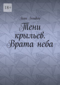Тени крыльев. Врата неба