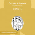 Жизнь