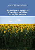 Подсолнухи и кукуруза: полное руководство по выращиванию