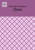 Лужа