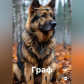 Граф