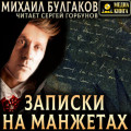 Записки на манжетах