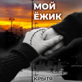 Мой ёжик