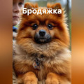 Бродяжка