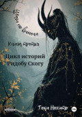 Шаги по времени. Книга третья. Цикл историй Родобу Скогу