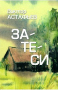 Затеси
