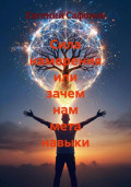 Сила намерения, или Зачем нам мета навыки