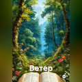 Ветер