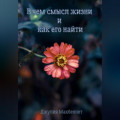 В чем смысл жизни и как его найти