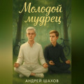Молодой мудрец