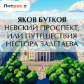 Невский проспект, или&nbsp;Путешествия Нестора Залетаева