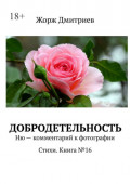 Добродетельность. Ню&nbsp;&ndash; комментарий к&nbsp;фотографии. Стихи. Книга&nbsp;№16