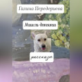 Мишель-детектив