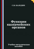 Функции казначейских органов