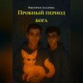 Пробный период бога