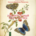 Удивительный мир бабочек