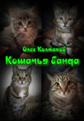 Кошачья банда
