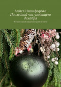 Последний час уходящего декабря. История одной предновогодней встречи