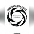 Синдром белки в колесе: Как замедлиться и найти баланс