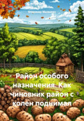 Район особого назначения. Как чиновник район с колен поднимал