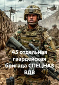 45 отдельная гвардейская бригада СПЕЦНАЗ ВДВ