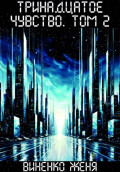 Тринадцатое чувство. Том 2