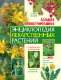 Большая иллюстрированная энциклопедия лекарственных растений