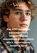 Как НЛП помогает расшифровать подростковую вселенную и построить мост, по которому хочется идти