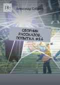 Сборник рассказов. Попытка&nbsp;#24