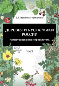 Деревья и кустарники России. Иллюстрированный определитель. Том 2