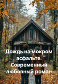 Дождь на мокром асфальте. Современный любовный роман