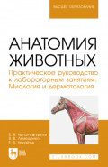 Анатомия животных. Практическое руководство к лабораторным занятиям. Миология и дерматология. Учебное пособие для вузов. 2-е издание, стеротипное