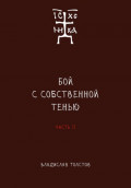 Бой с собственной тенью. Заметки православного воина (книга вторая)