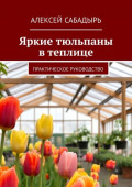 Яркие тюльпаны в&nbsp;теплице. Практическое руководство