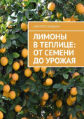 Лимоны в&nbsp;теплице: от&nbsp;семени до&nbsp;урожая