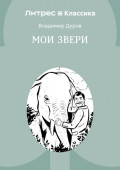 Мои звери