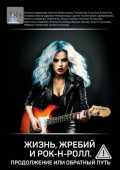 Жизнь, жребий и&nbsp;рок-н-ролл. Продолжение, или Обратный&nbsp;путь