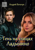 Тень на&nbsp;улицах Ладынино
