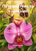 Путешествие за чудесами