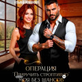 Операция &laquo;приручить строптивую&raquo;. Моя без шансов