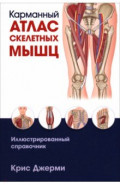 Карманный атлас скелетных мышц. Иллюстрированный справочник