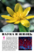Наука и жизнь №04/2026