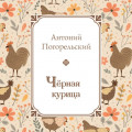 Черная курица