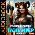 Газлайтер. Книга 29