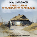 Председатель реввоенсовета республики